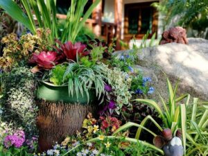 How to landscaping the front of the house, calling for property